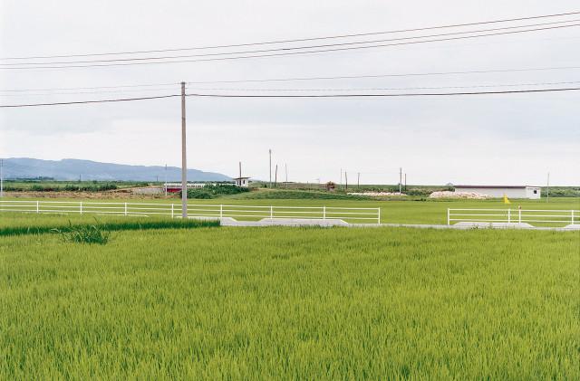 &Icirc;le de Sado-shima. Japon. 1997