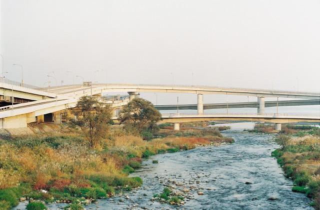 Shizuoka pr&eacute;fecture, &Icirc;le de Honshu. Japon. 1997