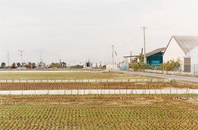 Kumamoto pr&eacute;fecture, &Icirc;le de Kiushu. Japon. 1997