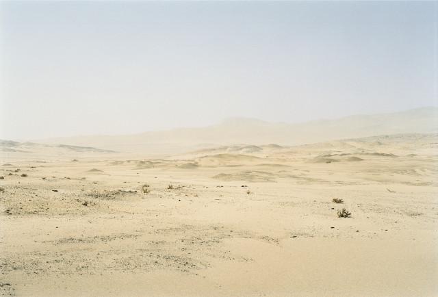 Environs de L&uuml;deritz, d&eacute;sert du Namib. Namibie. 2004