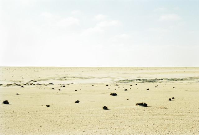 Skeleton coast, d&eacute;sert du Namib. Namibie. 2004