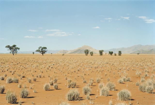 Environs de Solitaire, d&eacute;sert du Namib. Namibie. 2004