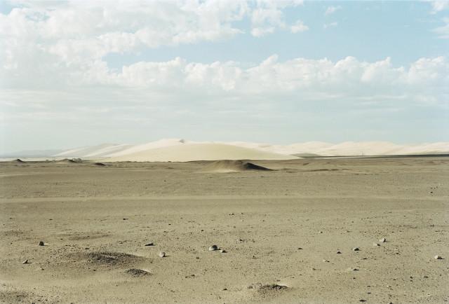Torra Bay, Skeleton coast, d&eacute;sert du Namib. Namibie. 2004