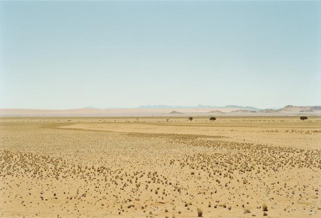 Naukluft park, d&eacute;sert du Namib. Namibie. 2004