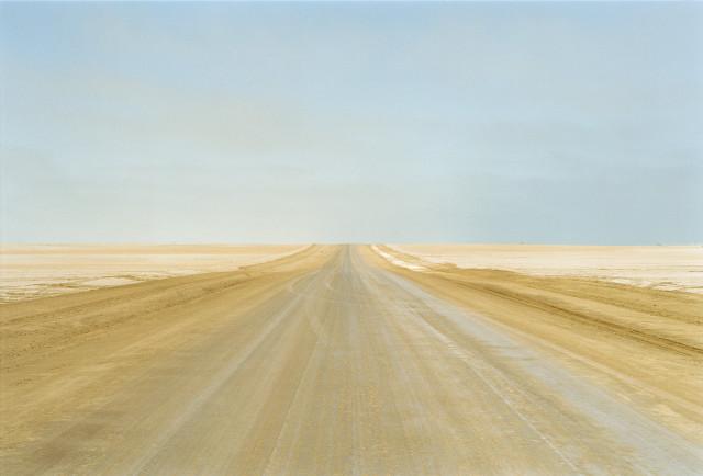 West Coast, d&eacute;sert du Namib. Namibie. 2004