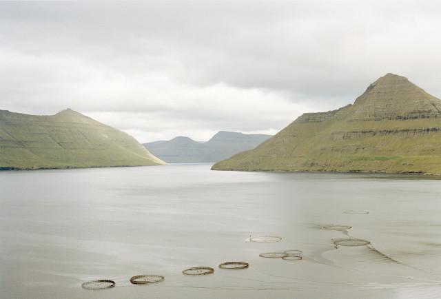 &Icirc;les F&eacute;ro&eacute;. 2000