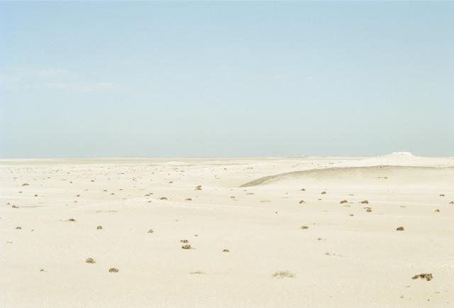 Skeleton Coast, d&eacute;sert du Namib. Namibie. 2004