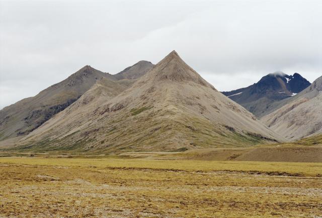 Environs de H&ouml;fn, Islande. 2000