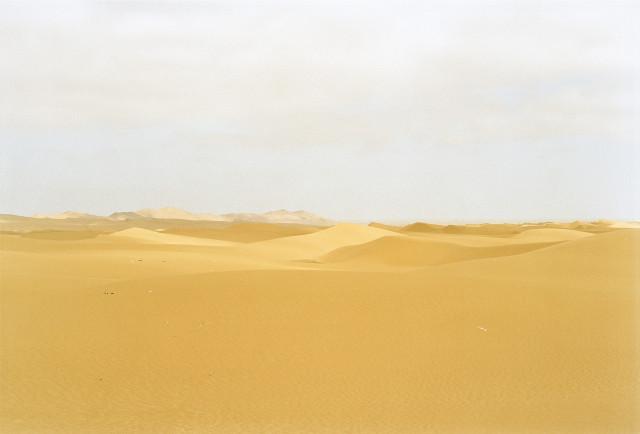 Environs de Wallis Bay, d&eacute;sert du Namib. Namibie. 2004