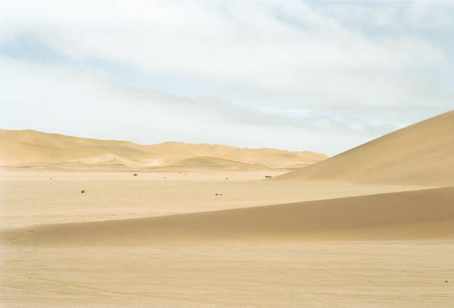 Environs de L&uuml;deritz, d&eacute;sert du Namib. Namibie. 2004