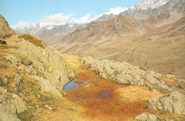 Col du Grand-Saint-Bernard, Valais. Suisse. 1990