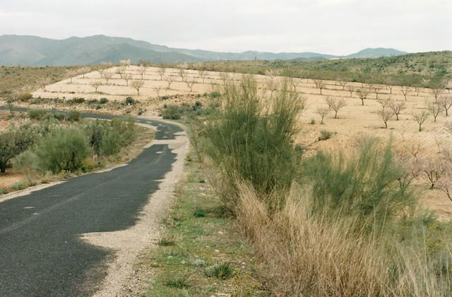 Andalousie. Espagne. 1992