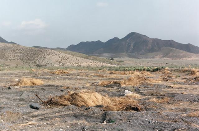 Sierra de Los Filabres, Province d'Almeria. Andalousie. Espagne. 1992