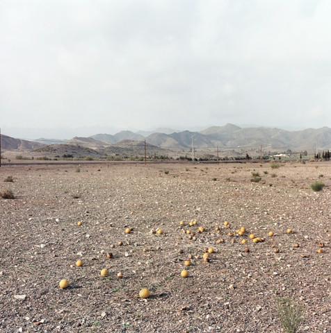 Route de Senes, Province d'Almeria. Andalousie. Espagne. 1992