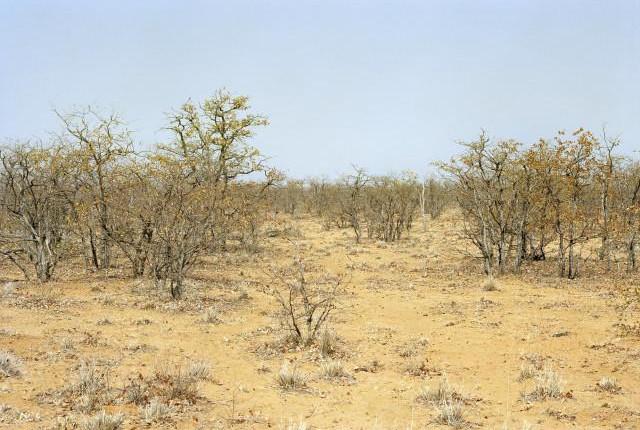 Afrique du Sud. 2012.