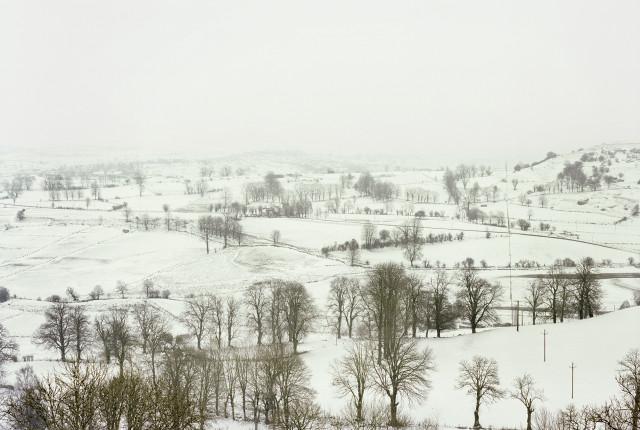 Plateau de l'Aubrac, Loz&egrave;re. Occitanie. 2010