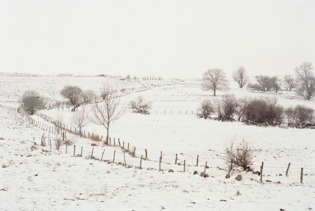 Plateau de l'Aubrac, Loz&egrave;re. Occitanie. 2010