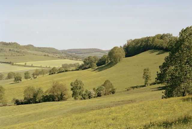 L&eacute;gende inconnue. 2010