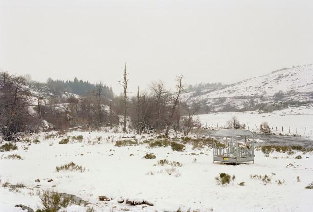 Plateau de l'Aubrac, Loz&egrave;re. Occitanie. 2010