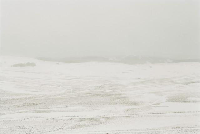 Plateau de l'Aubrac, Loz&egrave;re. Occitanie. 2010