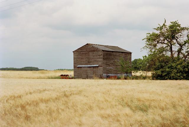 Foug&egrave;res-sur-Bi&egrave;vre, Loir-et-Cher. Centre-Val de Loire. 2010