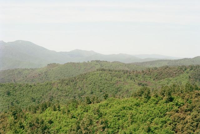 Corniche des C&eacute;vennes, Gard. Occitanie. 2010