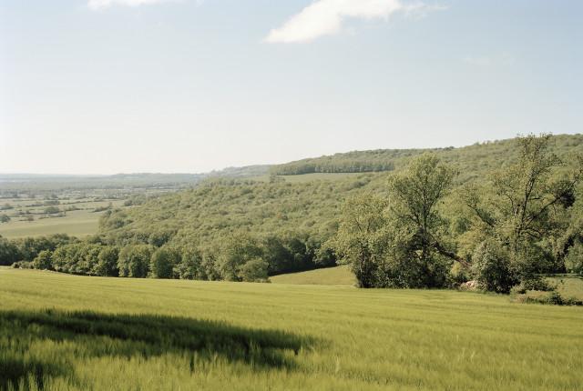 L&eacute;gende inconnue. 2010