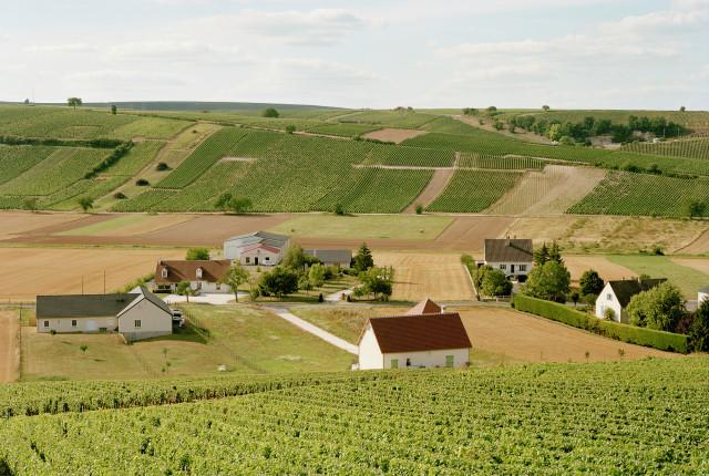 L&eacute;gende inconnue. 2010