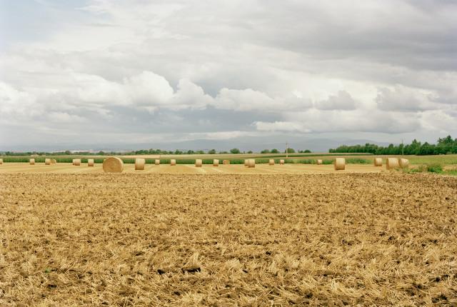 Puy-de-D&ocirc;me, Auvergne-Rh&ocirc;ne-Alpes. 2010