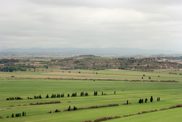 &Eacute;tang de Montady, Occitanie. 2006