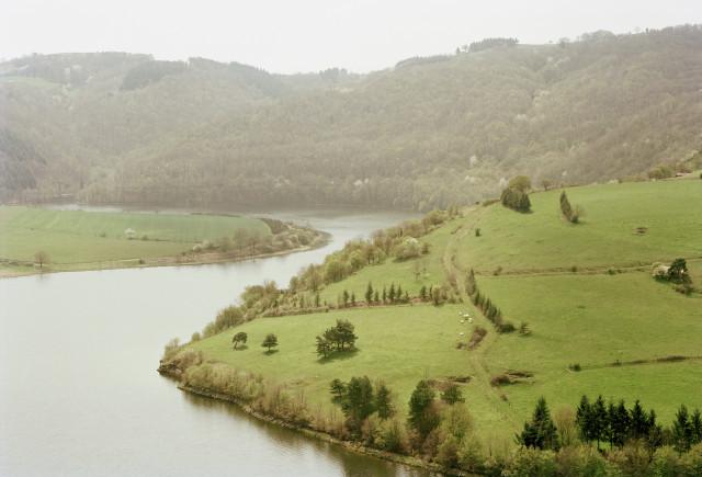 Le pet de l'&acirc;ne, Saint-Paul-de-V&eacute;zelin, Loire. Auvergne-Rh&ocirc;ne-Alpes. 2010