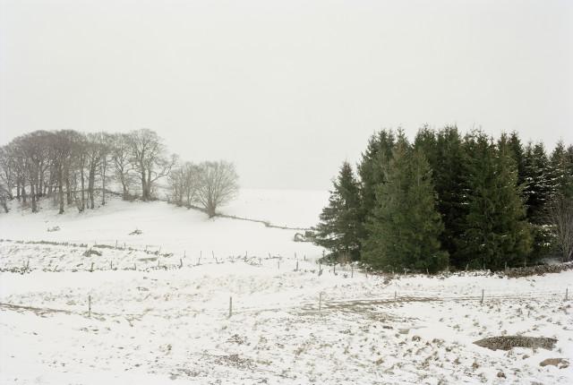 Plateau de l'Aubrac, Loz&egrave;re. Occitanie. 2010