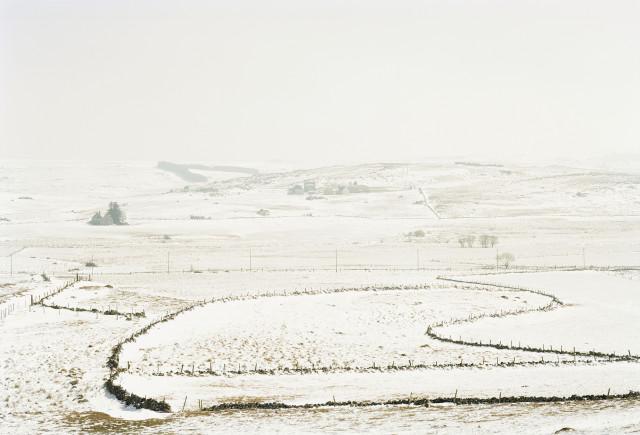 Plateau de l'Aubrac, Loz&egrave;re. Occitanie. 2010