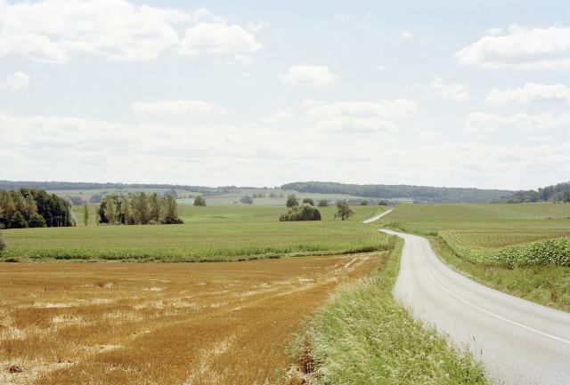 Environs de Scherwiller, Grand Est. 2016