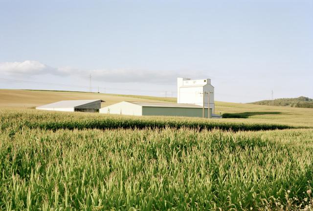 Vieux-Thann, Grand Est. 2016