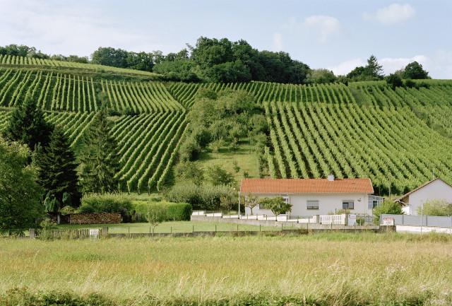 Vieux-Thann, Grand-Est. 2016