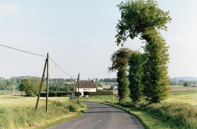 H&eacute;non. C&ocirc;tes-d'Armor, Bretagne. 1995