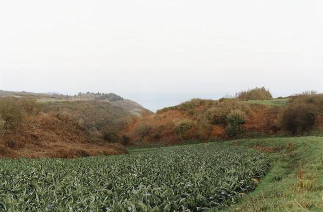 Plouezec. C&ocirc;tes-d'Armor, Bretagne. 1995