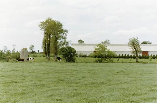 Pl&eacute;my. C&ocirc;tes-d'Armor, Bretagne. 1994