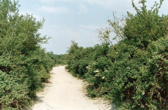 Lancieux. C&ocirc;tes-d'Armor, Bretagne. 1996