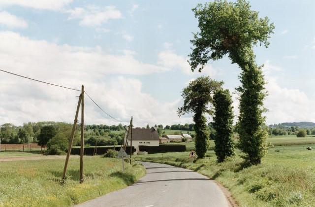 H&eacute;non. C&ocirc;tes-d'Armor, Bretagne. 1994