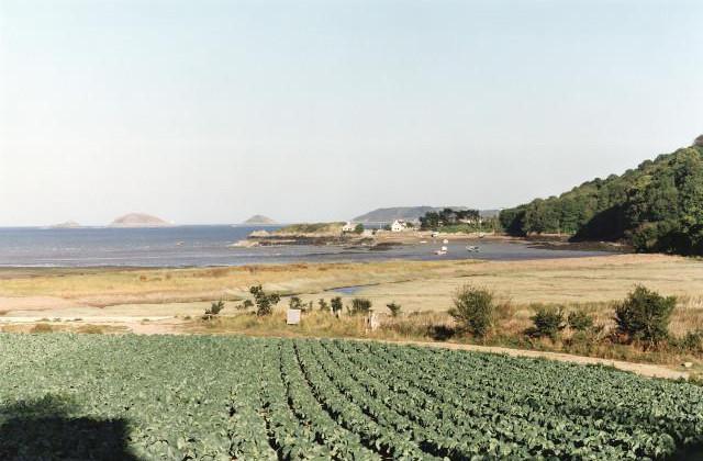 Paimpol. C&ocirc;tes-d'Armor, Bretagne. 1995