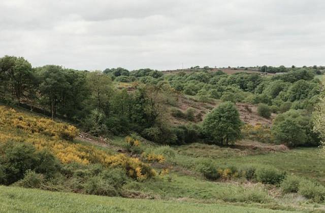 L&eacute;gende inconnue. C&ocirc;tes-d'Armor, Bretagne. 1994
