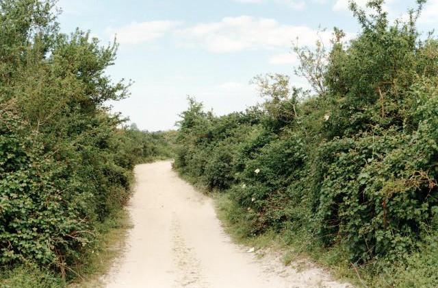 Lancieux. C&ocirc;tes-d'Armor, Bretagne. 1995