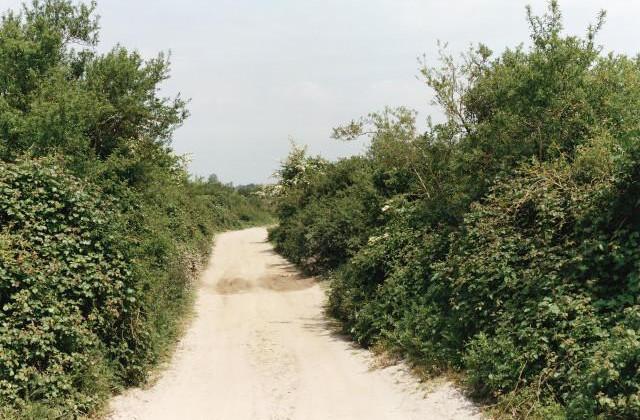Lancieux. C&ocirc;tes-d'Armor, Bretagne. 1994