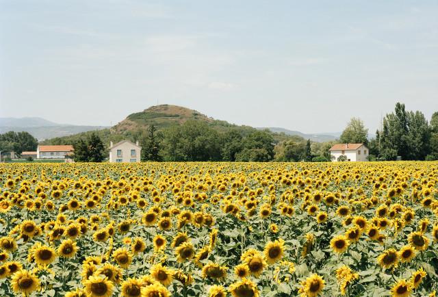 Environs de Clermont-Ferrand, Auvergne-Rh&ocirc;ne-Alpes. 2013
