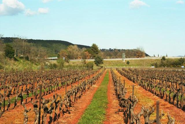 Environs de Tourtour, Provence-Alpes-C&ocirc;te d'Azur. 2016