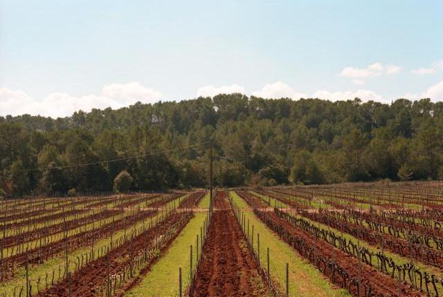 Environs de Tourtour, Provence-Alpes-C&ocirc;te d'Azur. 2016