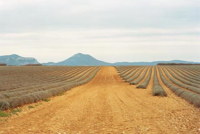 Puimoisson, Provence-Alpes-C&ocirc;te d'Azur. 2016