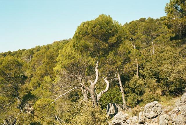 Environ de Tourtour, Provence-Alpes-C&ocirc;te d'Azur. 2016
